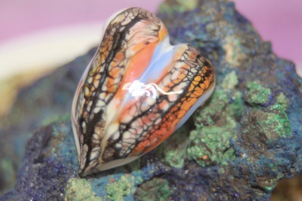Monarch Butterfly Heart Shaped Focal Bead